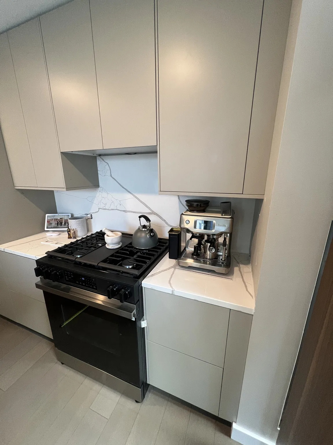 Grey Flat-Panel Modern Kitchen